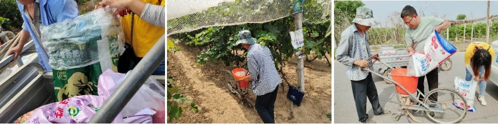 5月份，技术员跟踪指导施肥.jpg