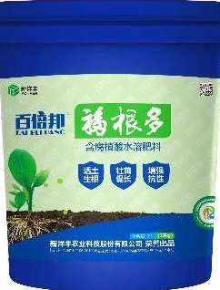 百倍邦福根多.jpg